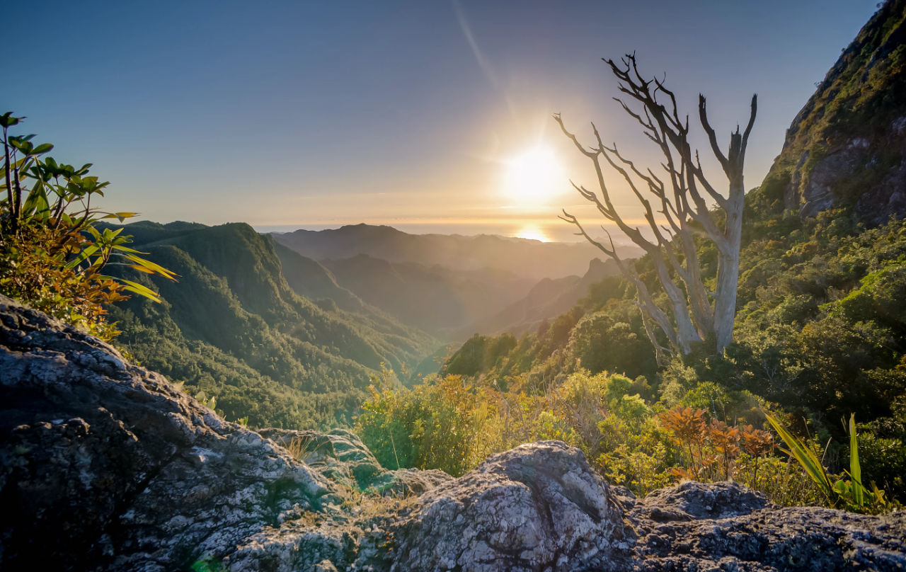 Landscape Mountain Valley